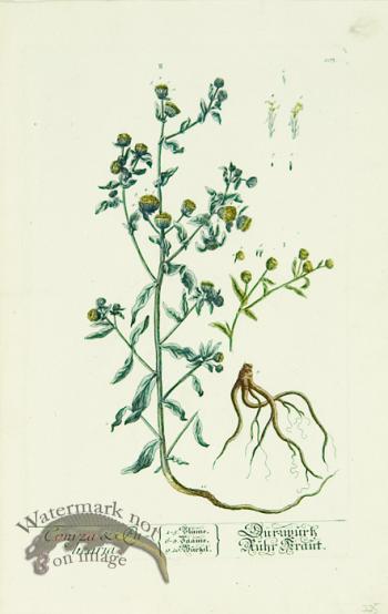 Blackwell German 093